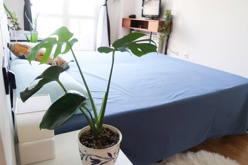 Apartamento Housingleon- Casa Oliva con Garaje Exterior foto